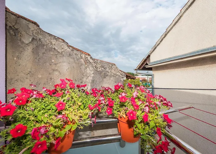 Lavi Appartement